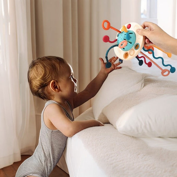 Montessori Baby Sensory Toys